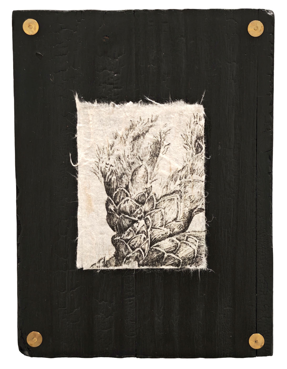 Le chêne à trois troncs no1 (The Oak with Three Trunks no1)