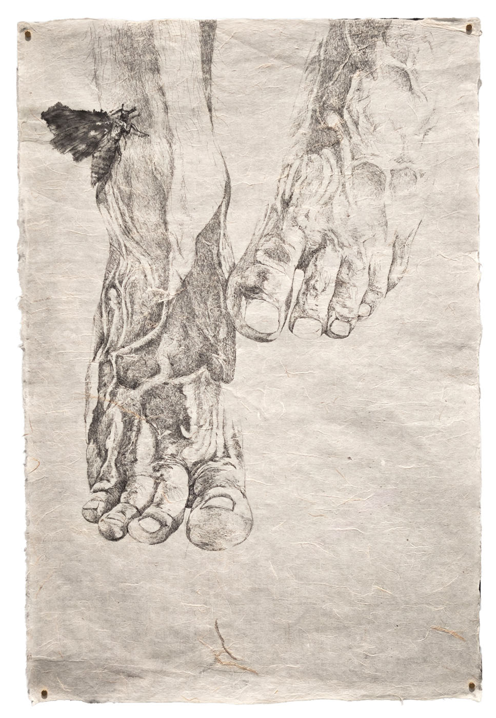 Le chêne à trois troncs no10 (The Oak with Three Trunks no10)