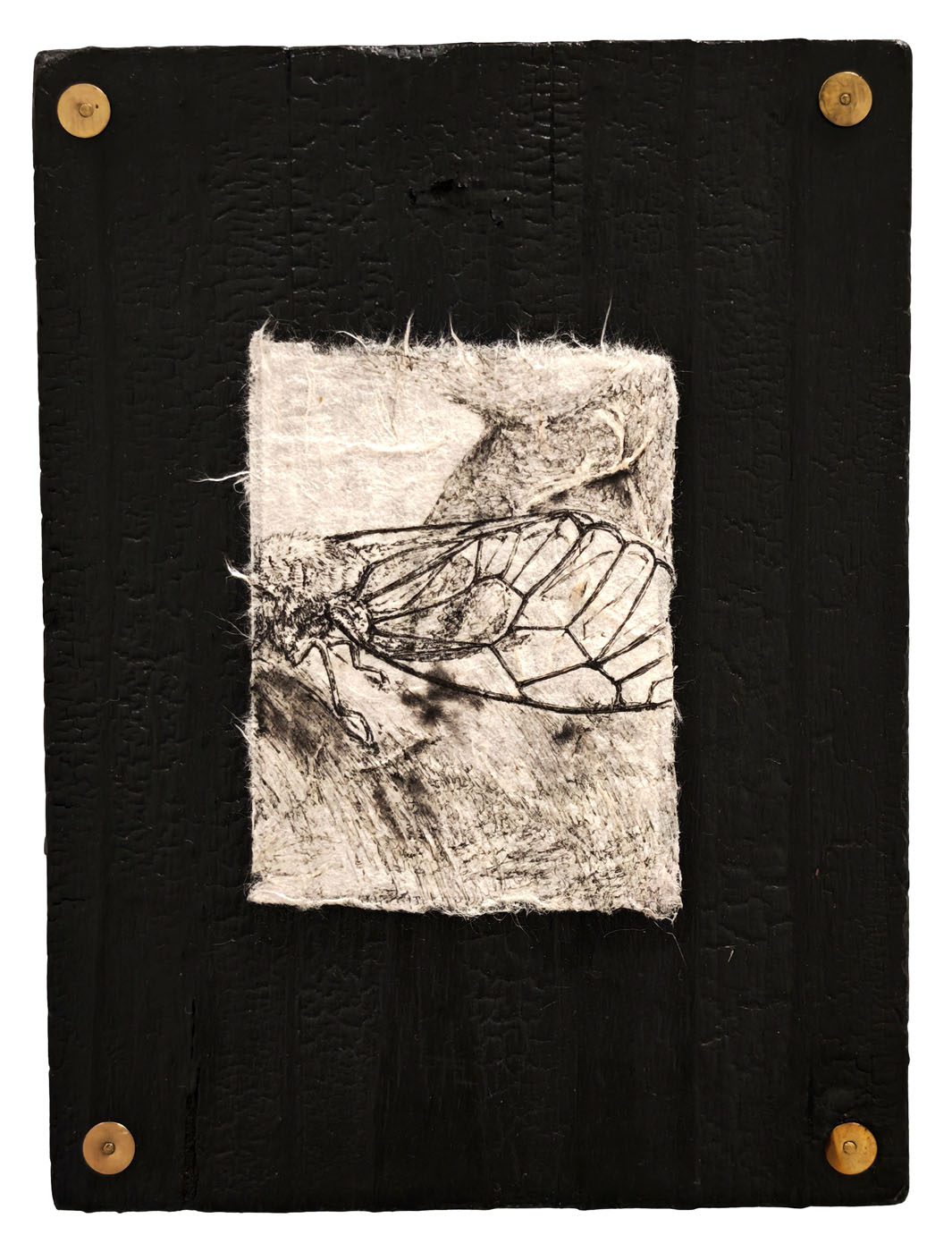Le chêne à trois troncs no3 (The Oak with Three Trunks no3)