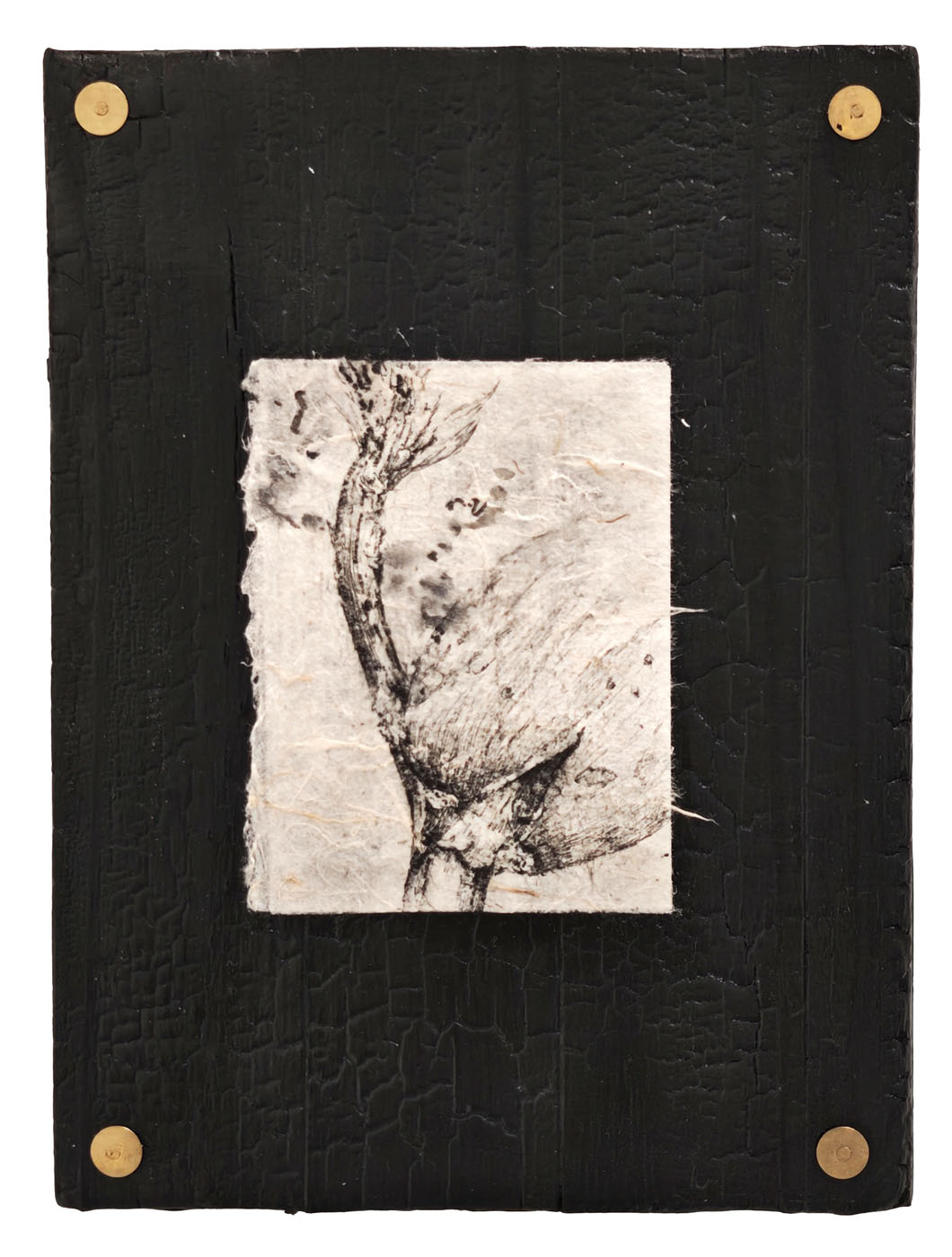 Le chêne à trois troncs no5 (The Oak with Three Trunks no5)