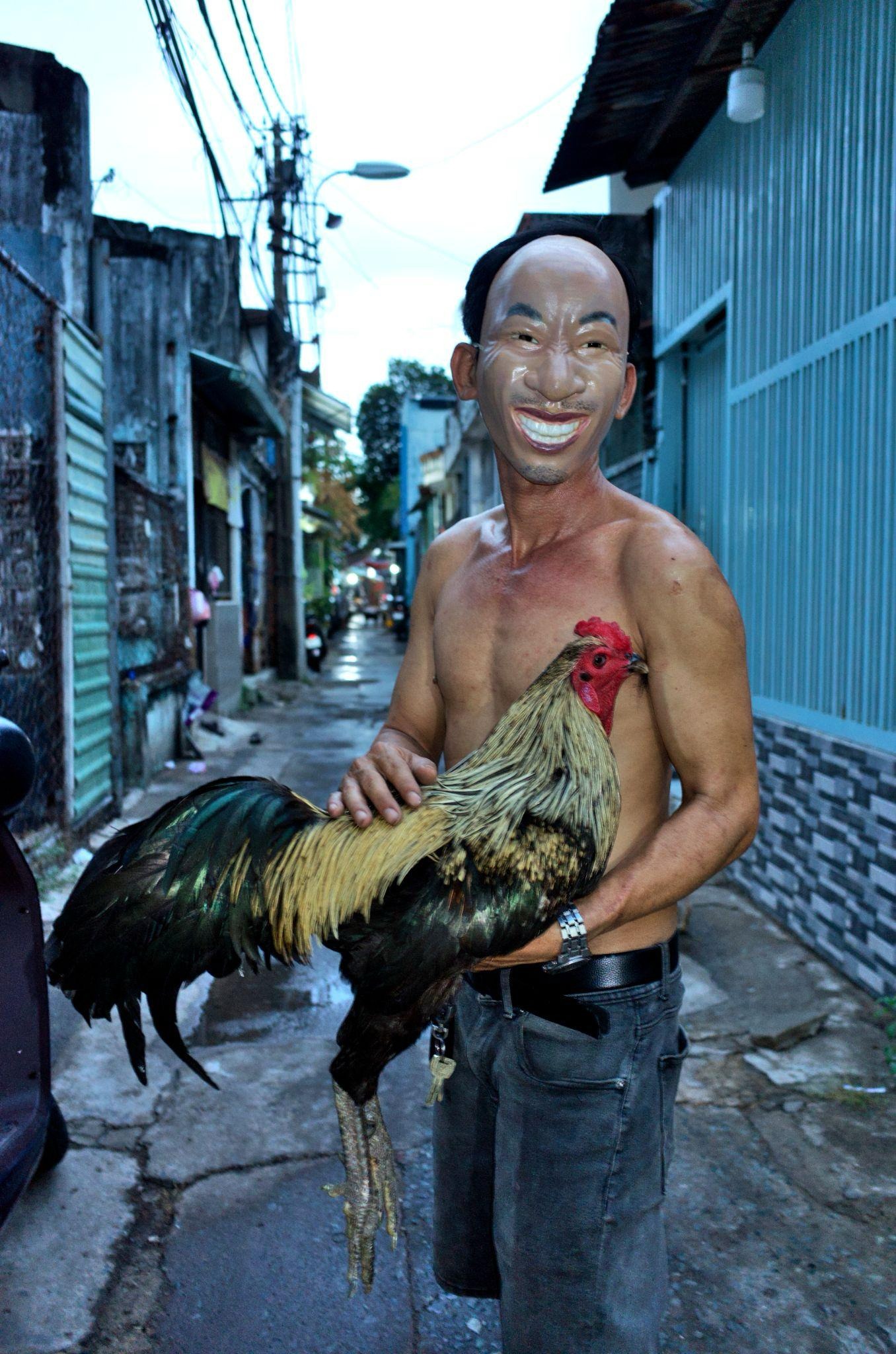 Tôi và những người hàng xóm (My Neighbours)