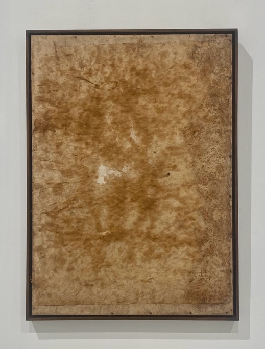 The Soil Remembers (1)